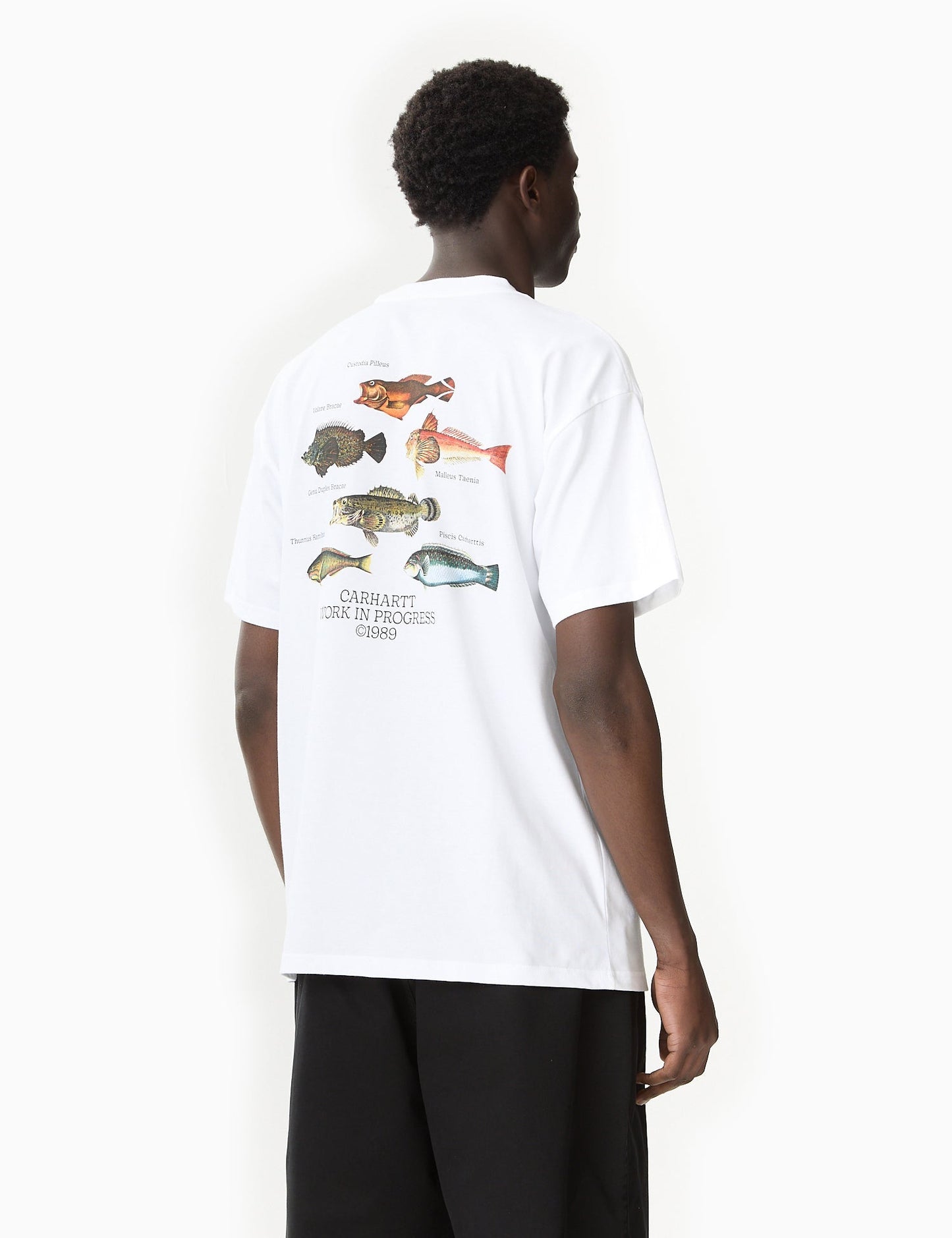 Fish T-Shirt (Loose) - Acapulco Blue